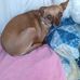 Martha Pfaff - Facebook