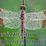 Martha Plata - @martha_elena_plata - Instagram
