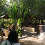 Karya Jaya Balinesia construction - @marthapoolbalihd - Instagram