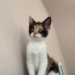 Martha poole - @marthapoole619 - Instagram