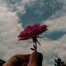 Martha Posadas - Facebook