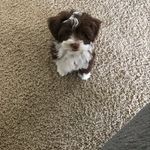 Martha Power - @magpie2ca - Instagram
