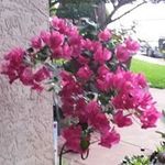 Martha Prater - @marthaprater - Instagram
