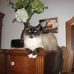 Martha Pratt - Facebook