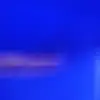 marthapratt2001 - @marthapratt2001 - TikTok