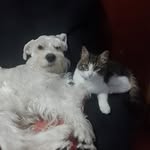 Martha Pulido - @martha.pulido.7564 - Instagram
