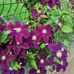 Martha Rabergeau - Facebook
