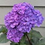 Martha Randall-Erickson - @m19a52randall - Instagram