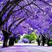 Martha Raper - Facebook