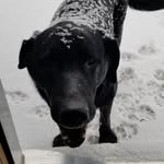 Martha Ratcliffe - @martha.ratcliffe.73 - Instagram