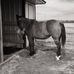 Martha Ratcliffe Walker - Facebook