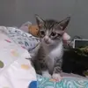 Martha Real - @martha.real - TikTok
