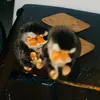 real martha - @real.martha - TikTok