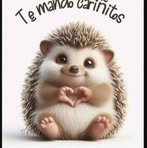 Martha Rebollar - Facebook