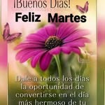 Martha Rebollar - @martha.rebollar.3532 - Instagram