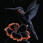 Martha Rebollar - Facebook