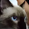 martharebollar79 - @martharebollar79 - TikTok