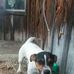 Martha Reece - Facebook