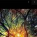 Martha Reader - Facebook