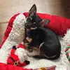 martha Loveridge - @martha.loveridge - TikTok