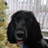 martha_rigby13 - @martha_rigbyxoxo20 - TikTok