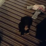 Martha Rigby - @sky_blue_martha_ - Instagram