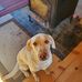 Martha Ring - Facebook