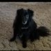 Martha Ritchie - Facebook