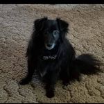 Martha Ritchie - @martharitchie - Instagram