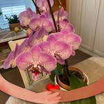 Martha Ritz - @ritzmartha - Instagram