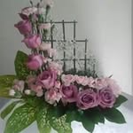 Martha Roque - @martha.roque.7798 - Instagram