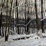 Martha Rowley - @martharowleyart - Instagram