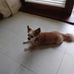 Martha Ruddy - Facebook
