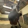 martha_Ruddy - @martha_rudddddyyyyy - TikTok