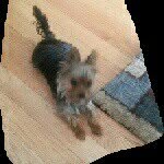 Martha_Sagers - @teddy7482 - Instagram