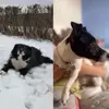 martha_sam - @x.sam.martha.x - TikTok