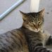 Martha Schaefer - Facebook