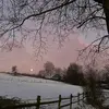 Martha Schulz - @martha.slz - TikTok