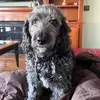 marthascullybel - @marthascullybel - TikTok