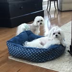 Martha Seaton - @emmie.seaton - Instagram