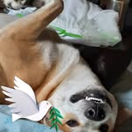 Martha Serna - @martha.serna.12979 - Instagram