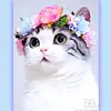 Martha Severson - @martha.severson - TikTok