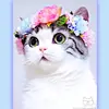 Martha Severson - @martha.severson - TikTok