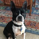 Martha Sheppard - @sheppard3214 - Instagram