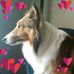 Martha Sherrill - Facebook