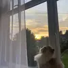 martha - @marthaaccox - TikTok