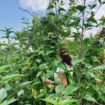 Martha Simone Bütow - @marthabutow - Instagram