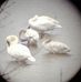 Martha Simonett - Facebook