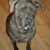 Martha Slade456 - @nayasmom - TikTok