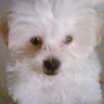 Martha Slade - @martha.slade.14 - Instagram